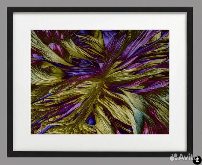 Фотографии