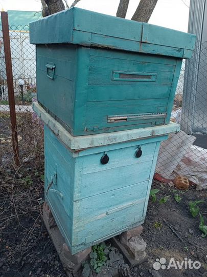 Улей для пчел бу