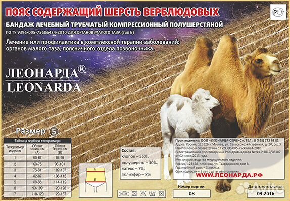 Верблюжий пояс