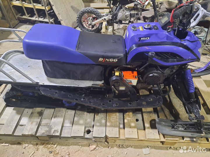 Динго 150
