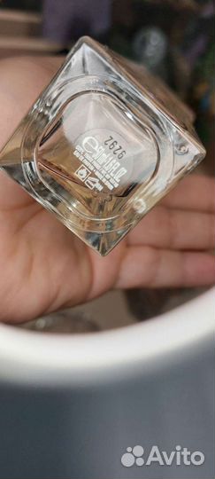 Chanel.dolce Gabbana. Lacoste