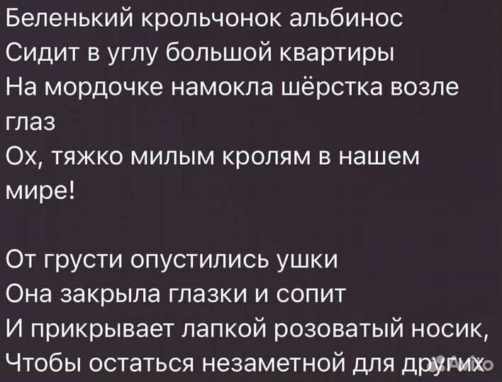 Тексты Стихи на заказ