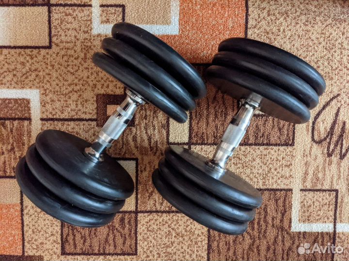 Гантели разборные 40 кг (20 кг х 2)