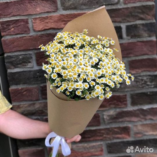 Ромашки для мероприятий