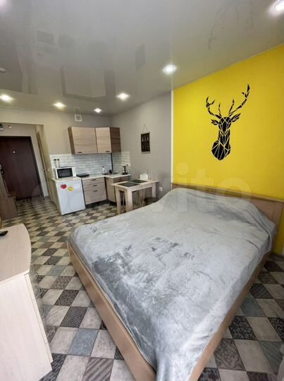 Квартира-студия, 25 м², 18/18 эт.