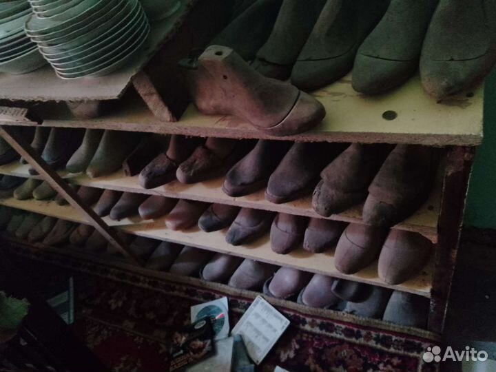 Колодки обувные