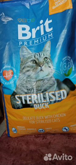 Корм для стерилизованных кошек