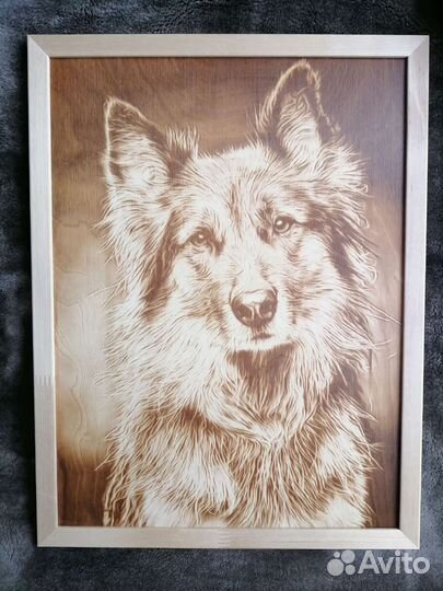 Картина, выжженная по дереву. Собака