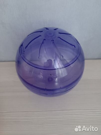 Шар, деревянный дом, лабиринт для джунгарика