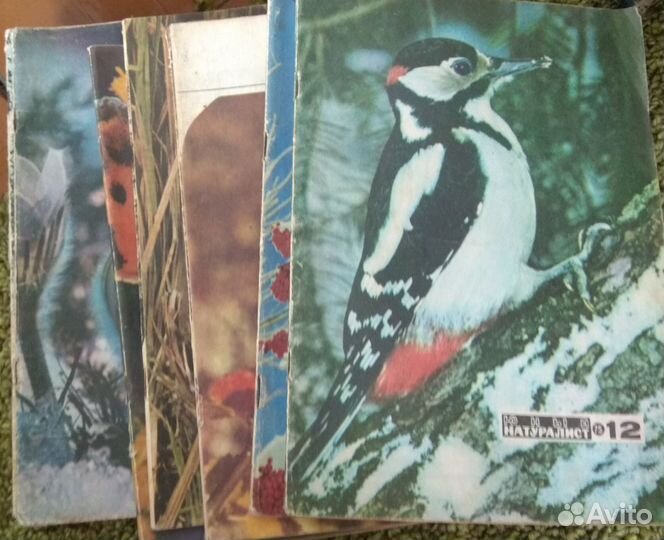 Журналы Юный натуралист