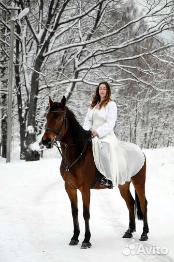 Конный клуб