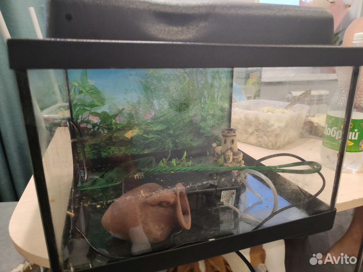 Аквариум
