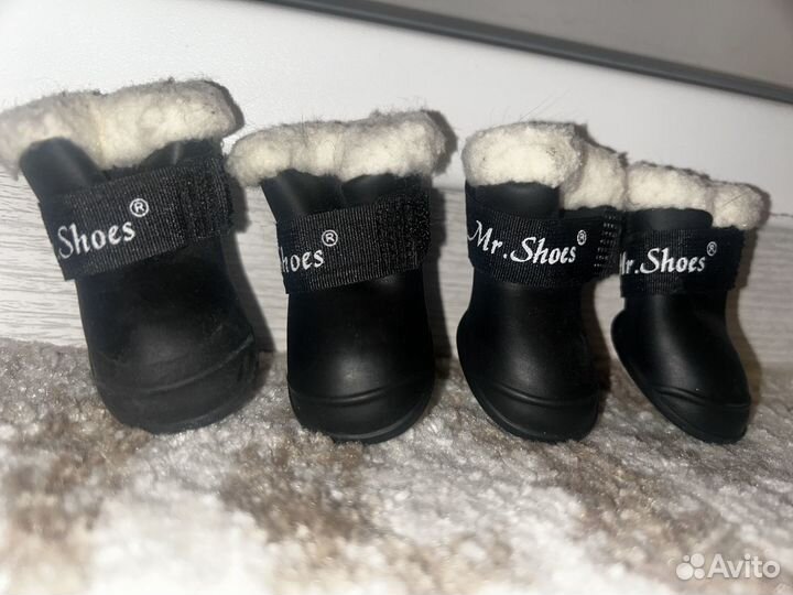 Ботинки для маленьких собак