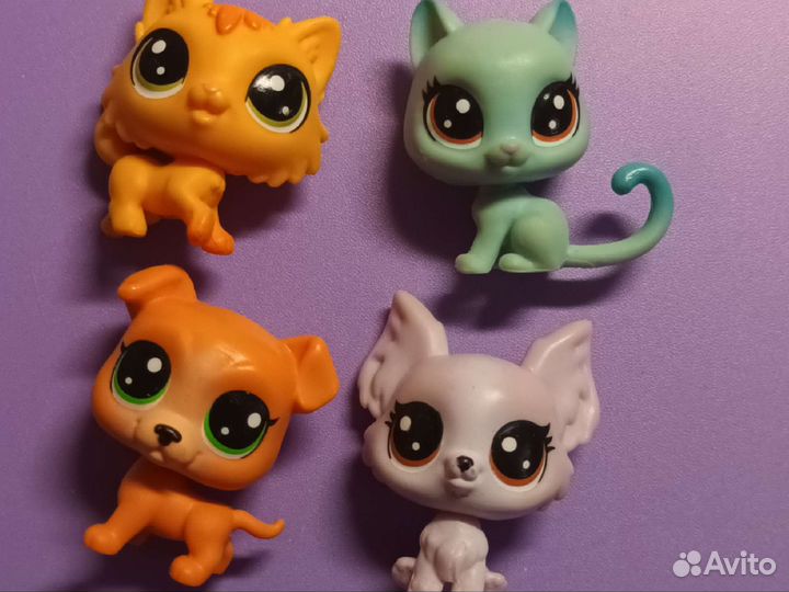 Littlest Pet Shop