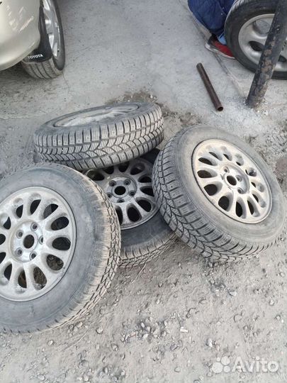 Tigar Sigura Stud 195/65 R15 95T