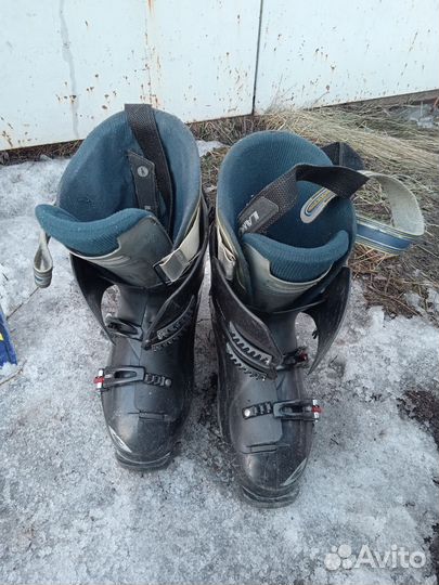 Горные лыжи