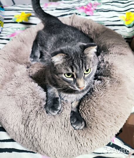 Лежанка для собак и кошек