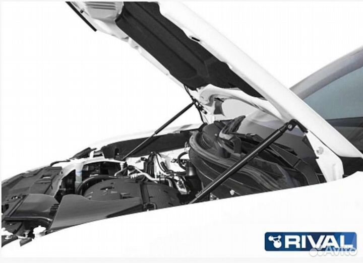 Упоры капота rival Mitsubishi Outlander 3