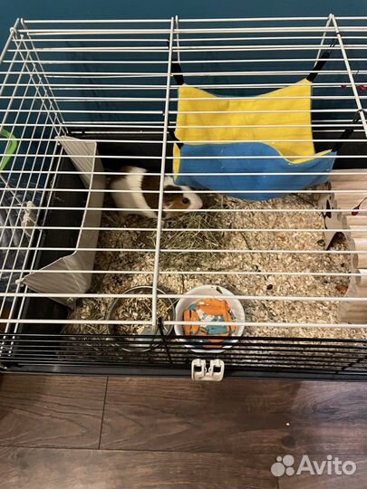 Клетка для грызунов большая, для морской свинки