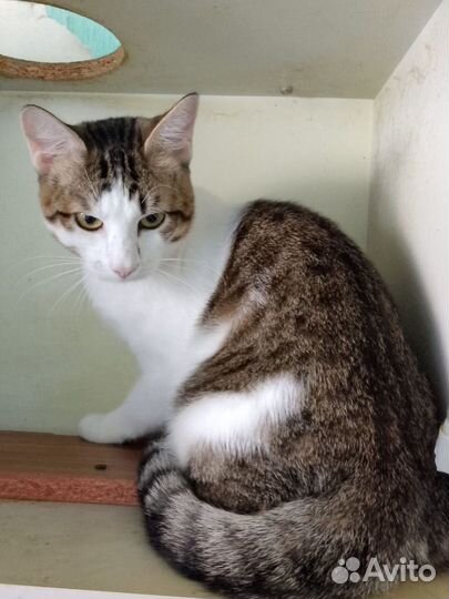 Лёлик осиротел