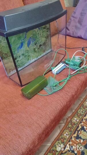 Аквариум