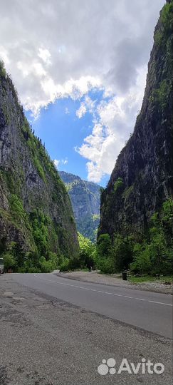 Экскурсии в Абхазию/Золотое кольцо,Рица/ежедневно