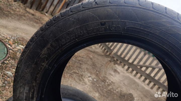 Dunlop Enasave EC204 165/65 R14