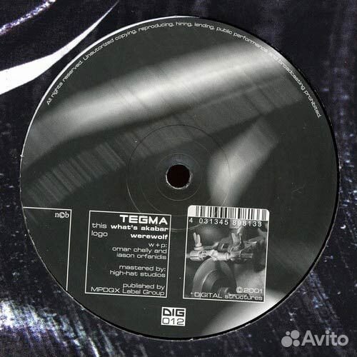 Tegma – Werewolf / What's Akabar