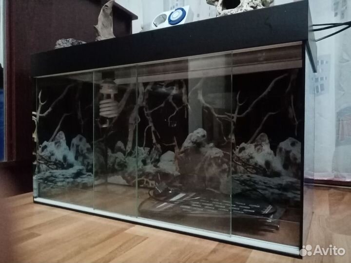 Террариум бу