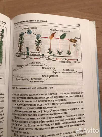 Биология 6 8 учебники