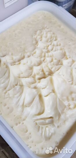 Мёд оптом донниковый