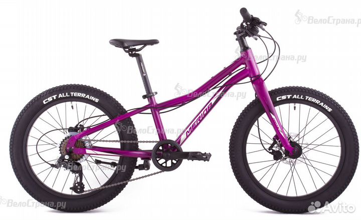 Детский велосипед Merida Matts J20 Plus Pro (2023)