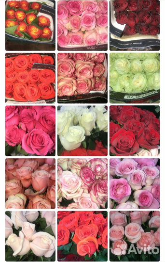 Роза 40,50,60см в пачках,по 10 шт.,оптом