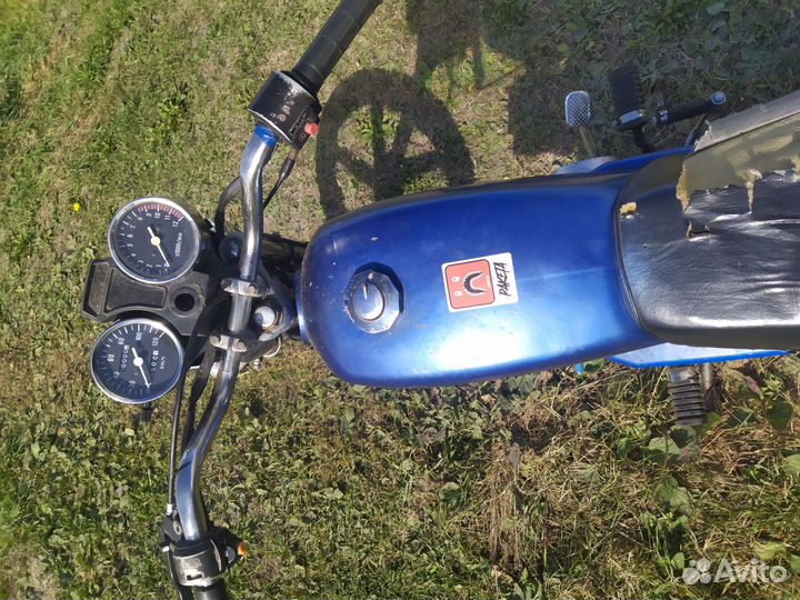 Мопед альфа pegas motors