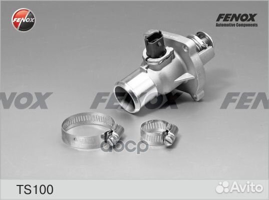Термостат TS100 fenox