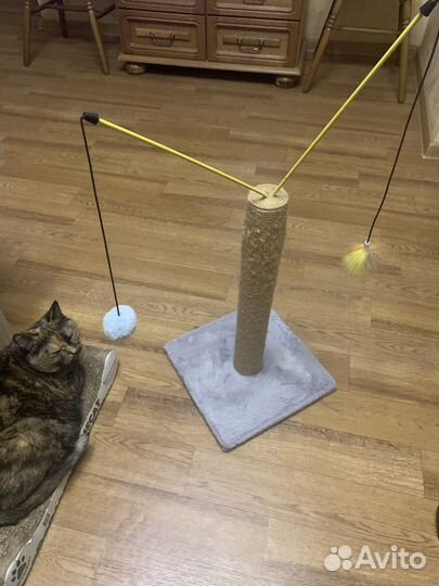 Когтеточка для кошек бу