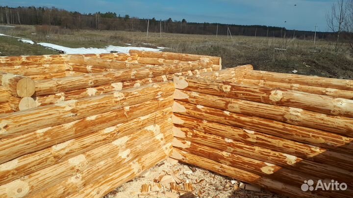 Сруб 6:3 3:3 5:3 4:3