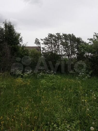 Участок 6,2 сот. (СНТ, ДНП)