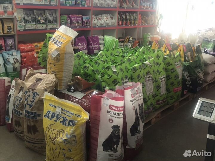 Кости для собак