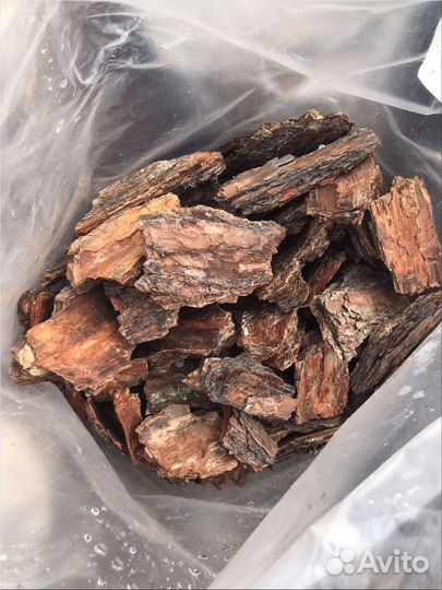 Сосновая кора