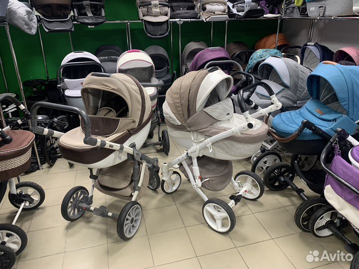 Коляски adamex anex