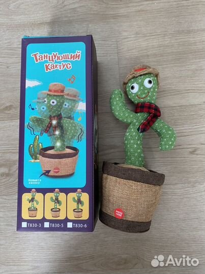 Поющий кактус