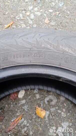 Nokian Tyres Nordman 7 205/60 R16 96T