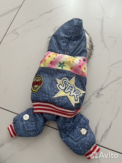 Одежда для собак