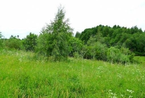 Участок 12,5 сот. (ИЖС)