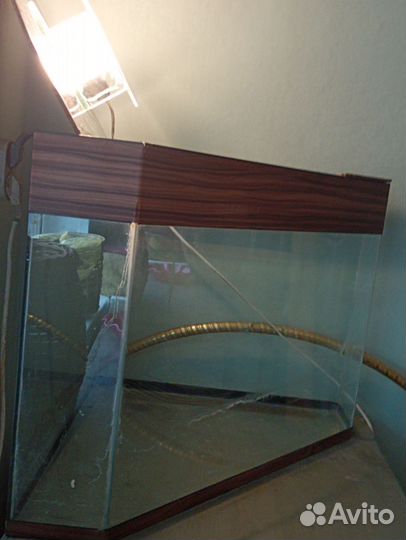 Аквариум угловой