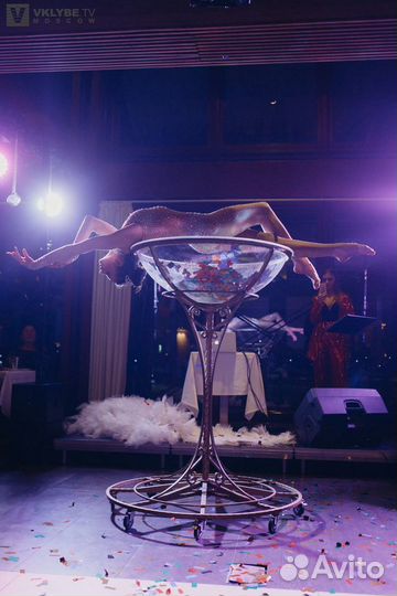 Девушка в бокале / воздушные гимнасты / шоу