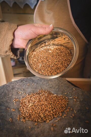 Вологда Топ-Экскурсия «Посусекам поскрести— поамба