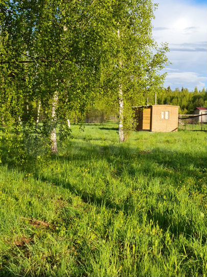 Участок 12 сот. (СНТ, ДНП)