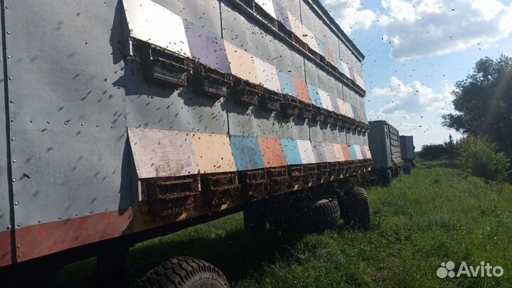 Прицеп-дача ABI Ace, 2022